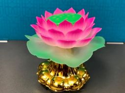 BEAUTIFUL LONG LOTUS LAMP 3.5"